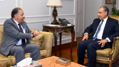 وزير الخارجية ورئيس الشئون الأفريقية بالنواب