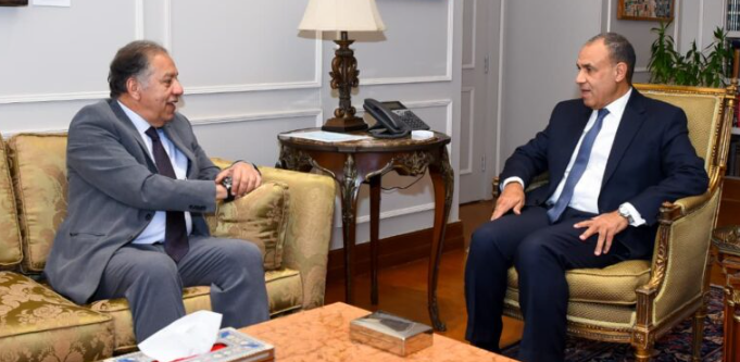 وزير الخارجية ورئيس الشئون الأفريقية بالنواب