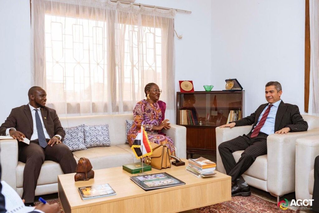 مصر تعزز التعاون مع غينيا في مجال التدريب الفني والدبلوماسي