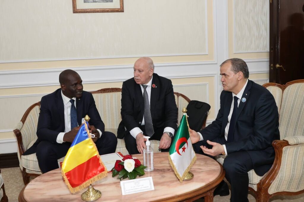 محادثات ثنائية بين الرئيسين الجزائري والتشادي لتعزيز الشراكة
