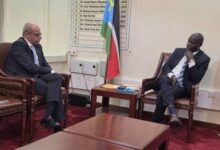 سفير مصر بجنوب السودان يلتقي وزير الصحة 