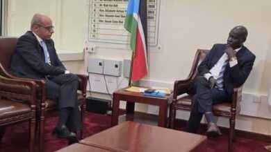 سفير مصر بجنوب السودان يلتقي وزير الصحة 