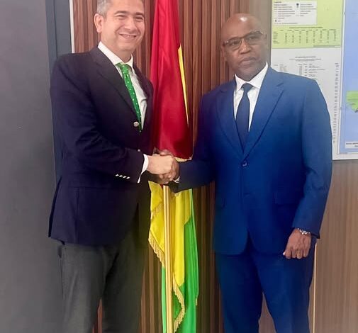 سفير مصر بـ غينيا يزور وزير البنية التحتية والأشغال العامة