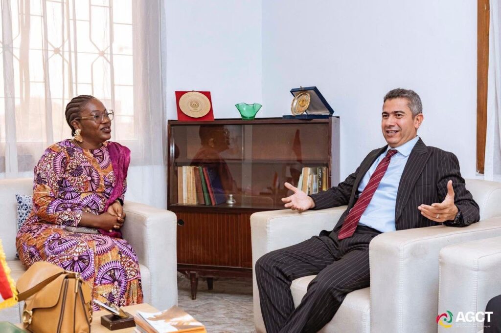 مصر تعزز التعاون مع غينيا في مجال التدريب الفني والدبلوماسي