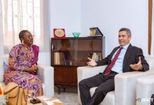 مصر تعزز التعاون مع غينيا في مجال التدريب الفني والدبلوماسي