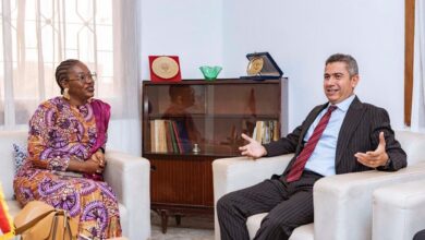 مصر تعزز التعاون مع غينيا في مجال التدريب الفني والدبلوماسي