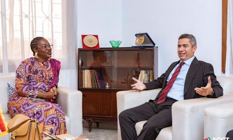 مصر تعزز التعاون مع غينيا في مجال التدريب الفني والدبلوماسي