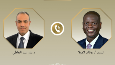 وزير الخارجية ونظيره الجنوب أفريقي