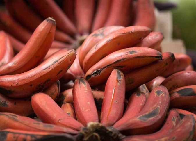 أنواع الموز إفريقيا