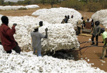 شركة بوركينا فاسو للألياف