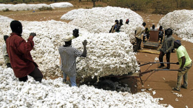 شركة بوركينا فاسو للألياف