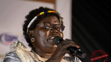 فيفان نيتشان