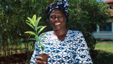 بطلات إفريقيا.. قارة أنجبت نساء لا يعرفن المستحيل وغيرن التاريخ