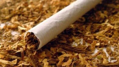 صناعة التبغ في موزمبيق