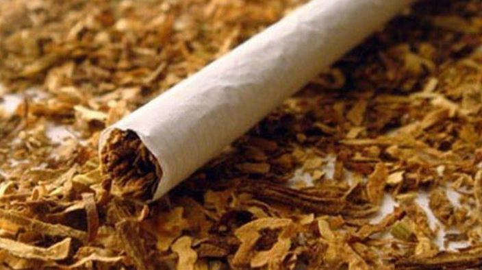 صناعة التبغ في موزمبيق