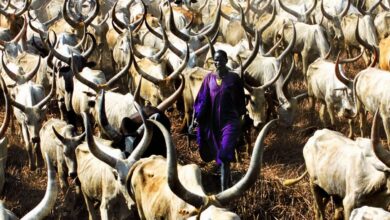 الزواج في قبائل جنوب السودان