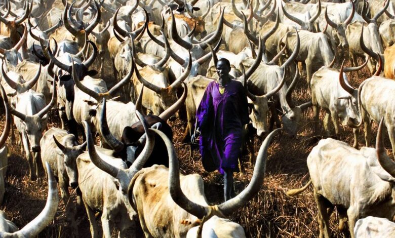 الزواج في قبائل جنوب السودان