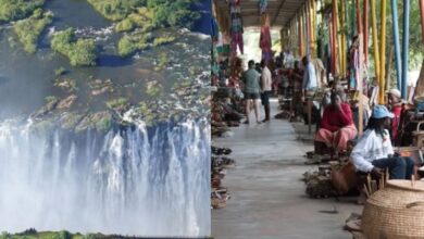 شلالات فيكتوريا ومدينة ليفينغستون