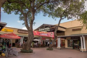 ليفينغستون