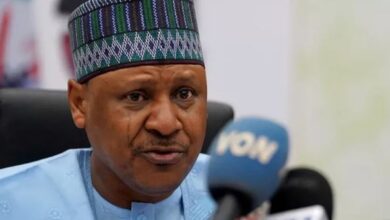 وزير الإعلام النيجيري