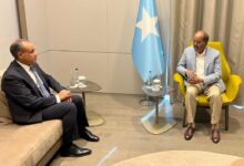 وزير الخارجية المصري والرئيس الصومالي