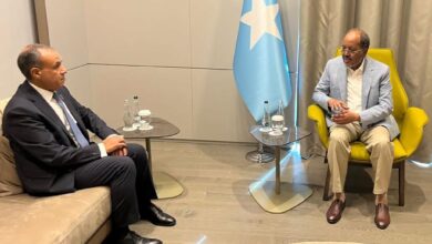 وزير الخارجية المصري والرئيس الصومالي