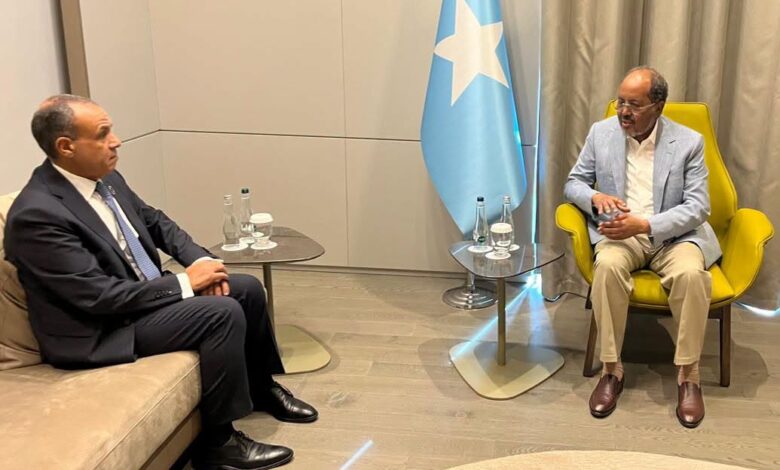 وزير الخارجية المصري والرئيس الصومالي