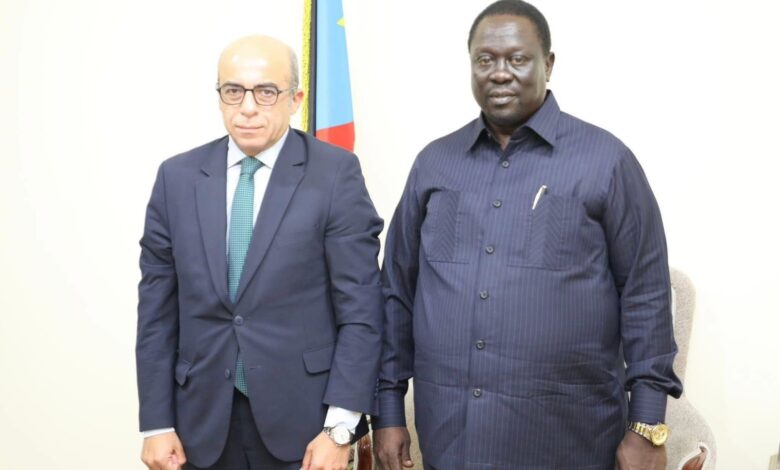 جنوب السودان تركز على تعزيز التعليم عبر الشراكة مع مصر