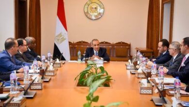 وزير الخارجية: القطاع الخاص يعزز العلاقات الاقتصادية مع الدول الإفريقية