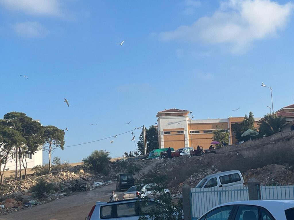  مدينه الحسيمه