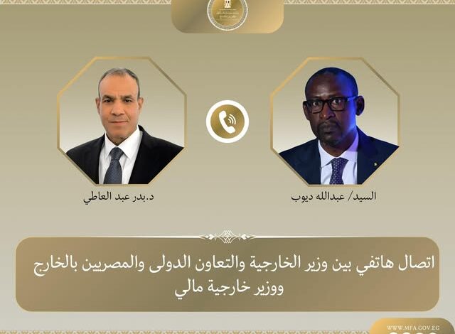 وزيرا خارجية مصر ومالي