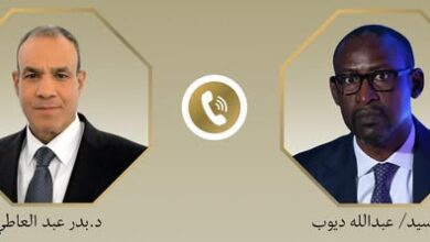 وزيرا خارجية مصر ومالي