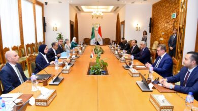 بدر عبد العاطي يستقبل رئيس بنك التنمية الإفريقي