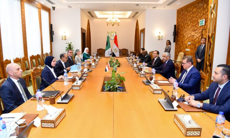 بدر عبد العاطي يستقبل رئيس بنك التنمية الإفريقي