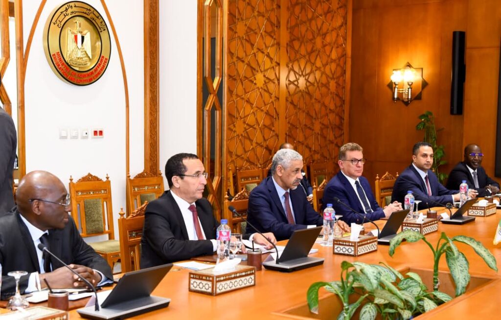 بدر عبد العاطي يستقبل رئيس بنك التنمية الإفريقي
