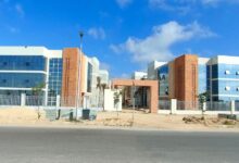 جامعة سنجور.. جسر يربط مصر بإفريقيا وتجسيد للشراكة الفرانكفونية