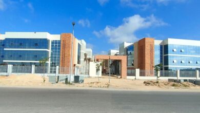 جامعة سنجور.. جسر يربط مصر بإفريقيا وتجسيد للشراكة الفرانكفونية