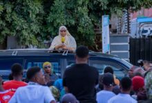 تستغل فرص التحدث للجمهور.. رئيس تنزانيا توسع لقاءات القادة الإقليميين