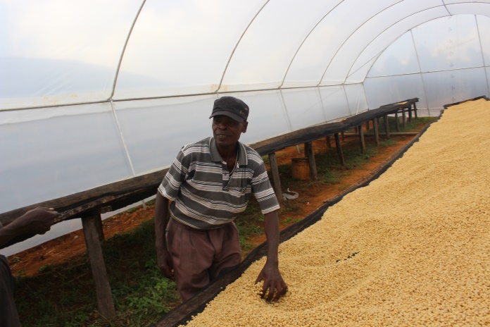 Karatu Coffee Factory