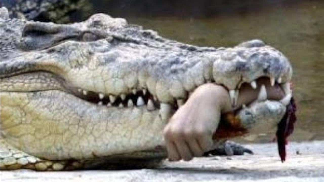 أرشيفية