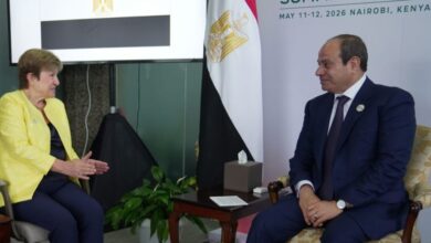 الرئيس السيسي يناقش مع صندوق النقد الدولي تداعيات الأزمة الإيرانية في نيروبي