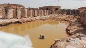 الإنسان والماشية.. الجميع يدفع ثمن مغامرات عمال المناجم في السودان