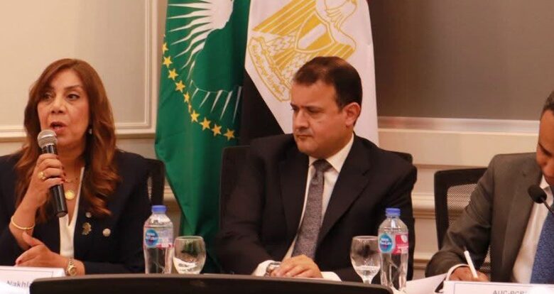 القاهرة تدفع نحو دور أكبر للقطاع الخاص الإفريقي في إعادة إعمار ما بعد النزاعات