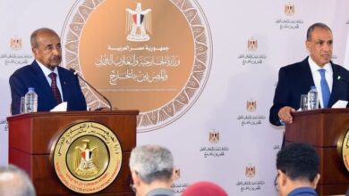 تقارب مصري إريتري واتجاه لتعزيز التعاون الاقتصادي والتجاري