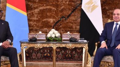 على رأسها المجال الصحي.. 4 مذكرات تفاهم بين رئيسي مصر والكونغو