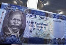 الفئران تُتلف 3 تريليونات جنيه جنوب سوداني