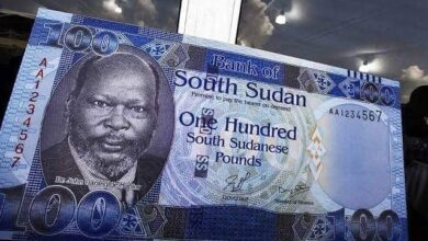 الفئران تُتلف 3 تريليونات جنيه جنوب سوداني