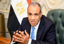 بدر عبد العاطي، وزير الخارجية المصري