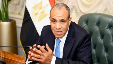 بدر عبد العاطي، وزير الخارجية المصري