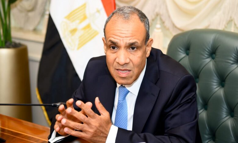 بدر عبد العاطي، وزير الخارجية المصري
